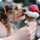 Junior ice cream